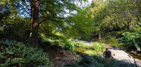 Botanic Garden, Wollongong - Accommodation QLD 2