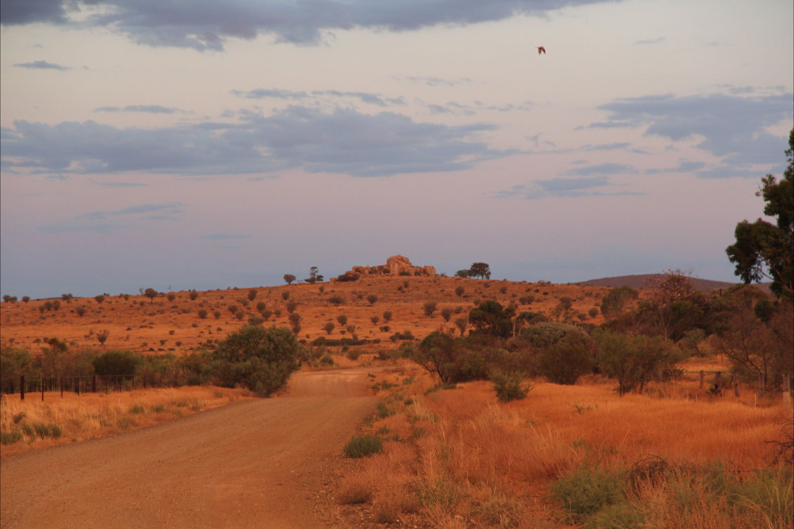 Booleroo Centre SA Accommodation QLD
