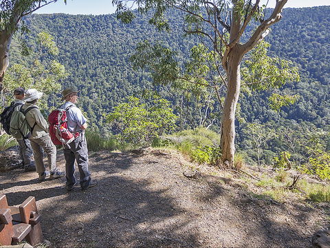 Caves Circuit, Lamington National Park - Accommodation QLD 0