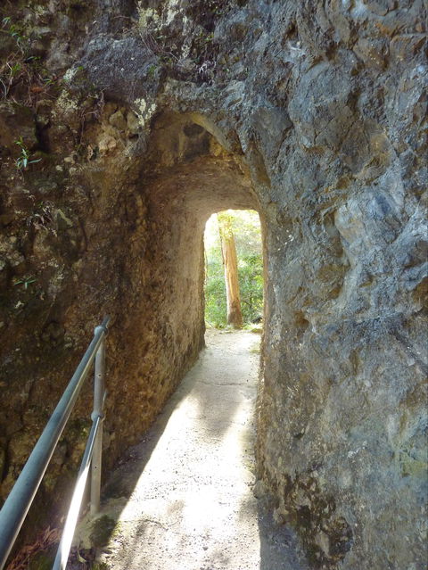 Caves Circuit, Lamington National Park - Accommodation QLD 1