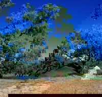 Comet - Accommodation QLD