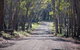 Coolah Tops National Park - thumb 0