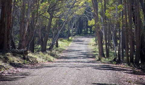 Coolah Tops National Park - Accommodation QLD 0
