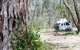 Coolah Tops National Park - thumb 2