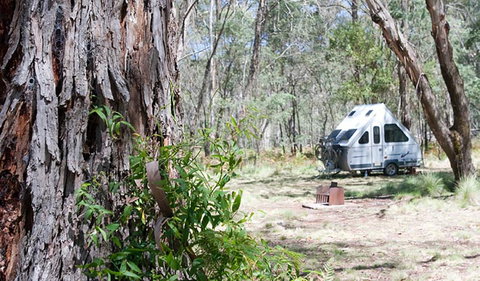 Coolah Tops National Park - Accommodation QLD 2