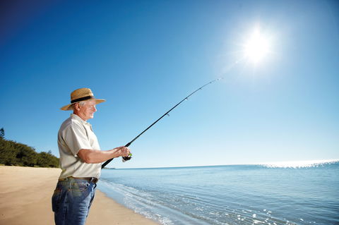 Coral Coast Pathways (Woodgate Beach Section) - Accommodation QLD 1