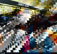 Crystal Kingdom - Accommodation QLD