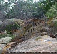 Dergholm State Park - Accommodation QLD