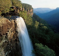 Fitzroy Falls - Accommodation QLD