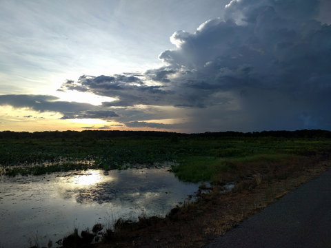 Fogg Dam Conservation Reserve - Accommodation QLD 2
