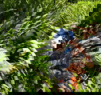 Georges Head - Accommodation QLD