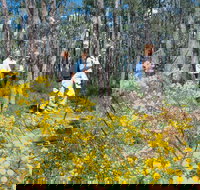 Gidgegannup - Accommodation QLD