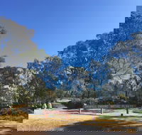 Grenfell Endemic Garden - Accommodation QLD
