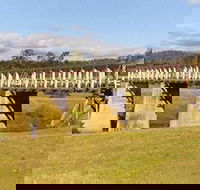Historic Tabulam DeBurgh Timber Bridge - Accommodation QLD