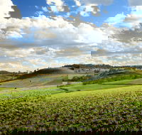Hodgson Vale - Accommodation QLD