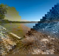 Jewfish Walk - Accommodation QLD