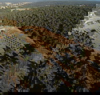 Julimar Date Garden - Accommodation QLD