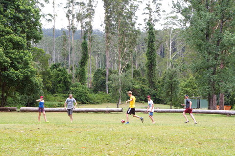 Kerewong State Forest - Accommodation QLD 1