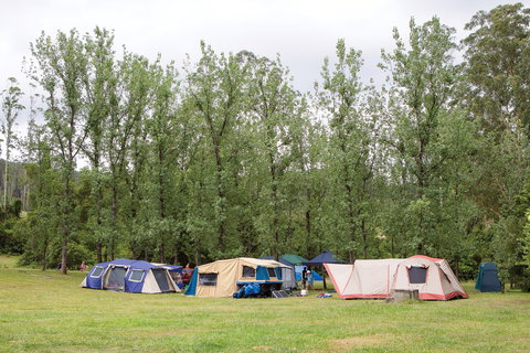 Kerewong State Forest - Accommodation QLD 2