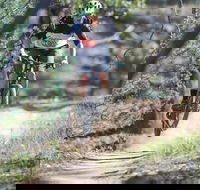 Kidsons Cycles - Accommodation QLD