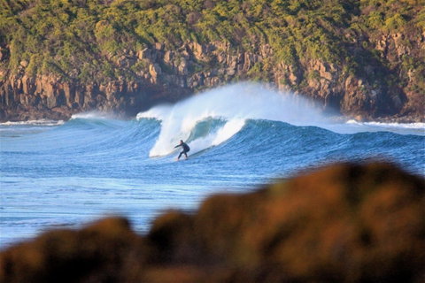 Killalea Reserve - Accommodation QLD 1