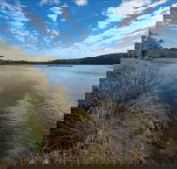 Lake Innes Nature Reserve - Accommodation QLD