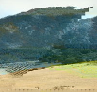 Langi Ghiran State Park - Accommodation QLD