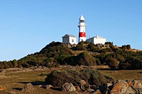 Low Head Foghorn - Accommodation QLD 1