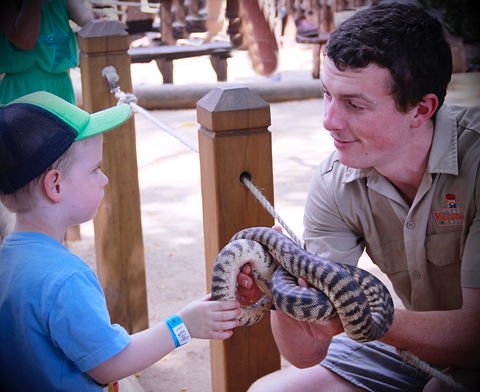 Macadamia Castle - Accommodation QLD 1