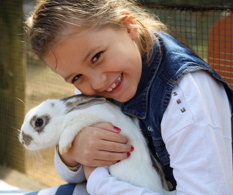 Macadamia Castle - Accommodation QLD 2