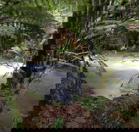 Marriotts Falls and Junee Caves - Accommodation QLD