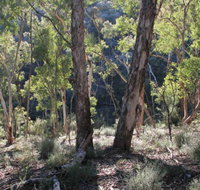 Mount Gray walking track - Accommodation QLD