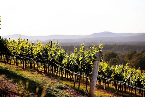 Mount View - Accommodation QLD 0