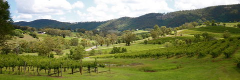 Mount View - Accommodation QLD 1