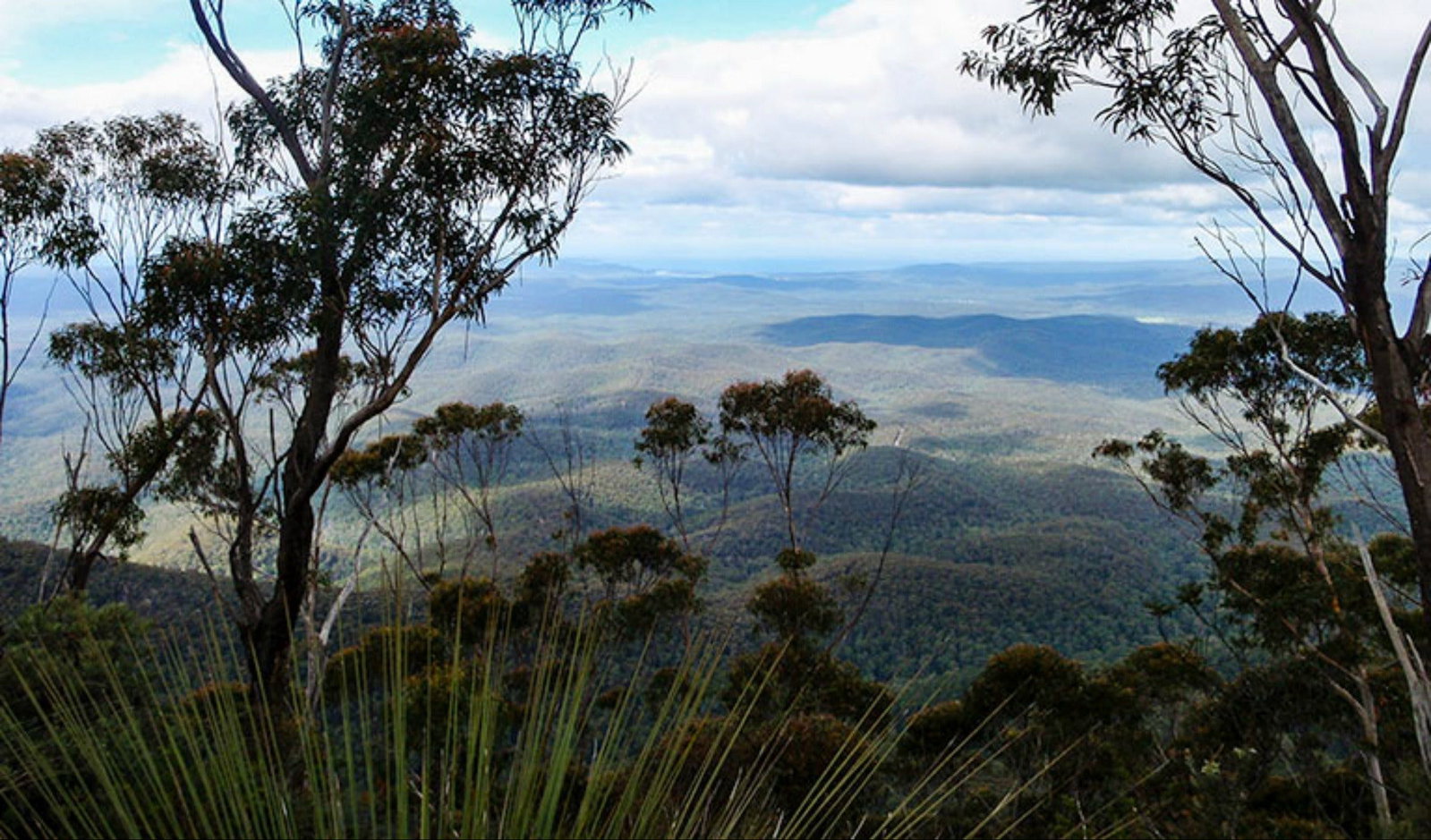Towamba NSW Accommodation QLD