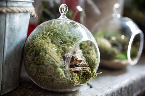 Moxom And Whitney - Accommodation QLD 0