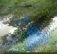 Mullion Range State Conservation Area - Accommodation QLD