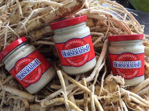 Newman's Horseradish Farm And Rusticana Wines - Accommodation QLD 0