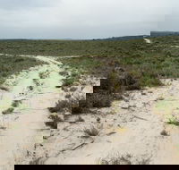Ngarkat Conservation Park - Accommodation QLD