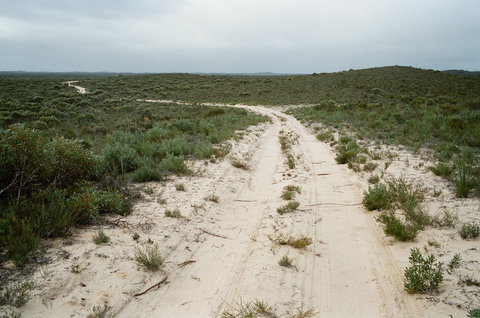 Ngarkat Conservation Park - Accommodation QLD 0
