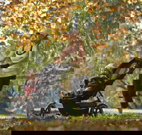 Noreuil Park - Accommodation QLD