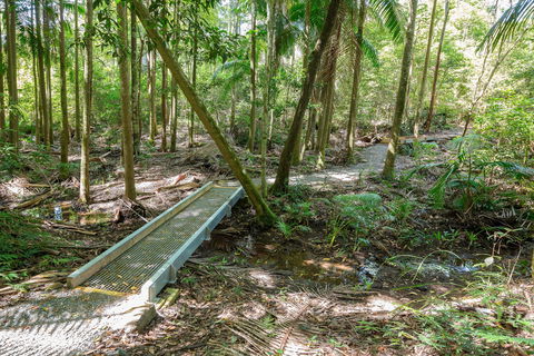 Old Bottlebutt - Accommodation QLD 0