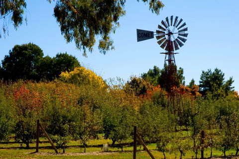 Orange Botanic Gardens - Accommodation QLD 2