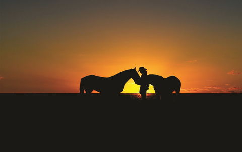 Outback Pony Rides Farm Experience - Accommodation QLD 0