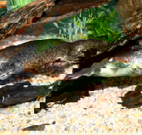 Platypus House - Accommodation QLD