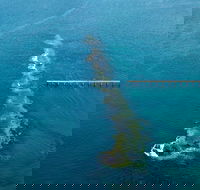 Port Noarlunga Reef Sanctuary Zone - Encounter Marine Park - Accommodation QLD