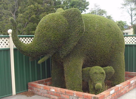 Railton: Town Of Topiary - Accommodation QLD 0