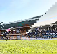 Rosehill Gardens Racecourse - Accommodation QLD