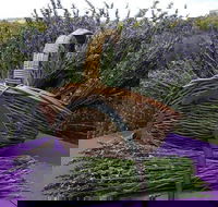 Rustique Lavender Farm - Accommodation QLD