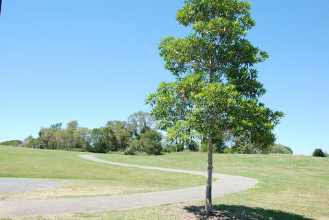Samford Valley Rail Trail - Accommodation QLD 2